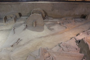 IMG_8715.JPG